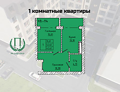 1 комнатные